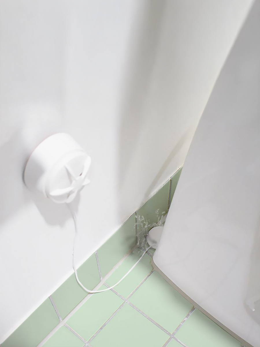 develco products frient probe for vannlekkasje sensor